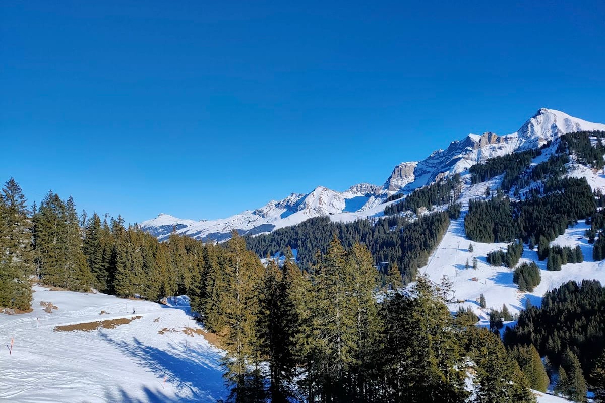 Adelboden, Zwitserse Alpen