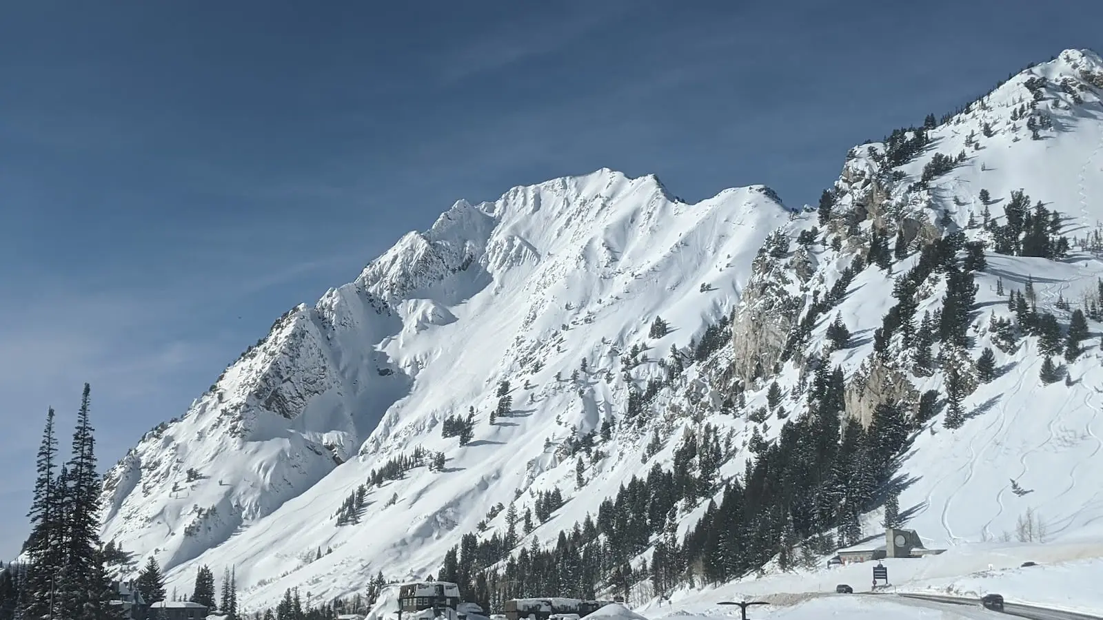 Alta