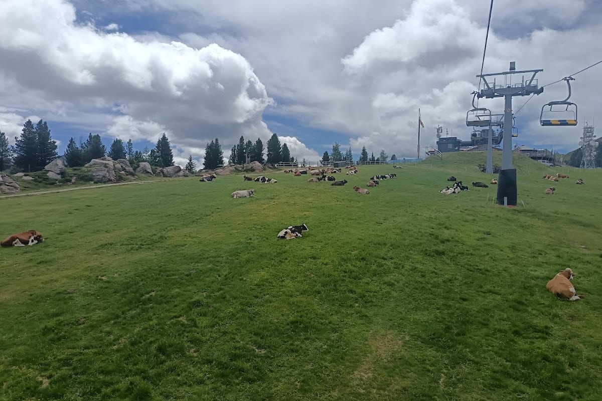 Cavalese, Italiaanse Alpen