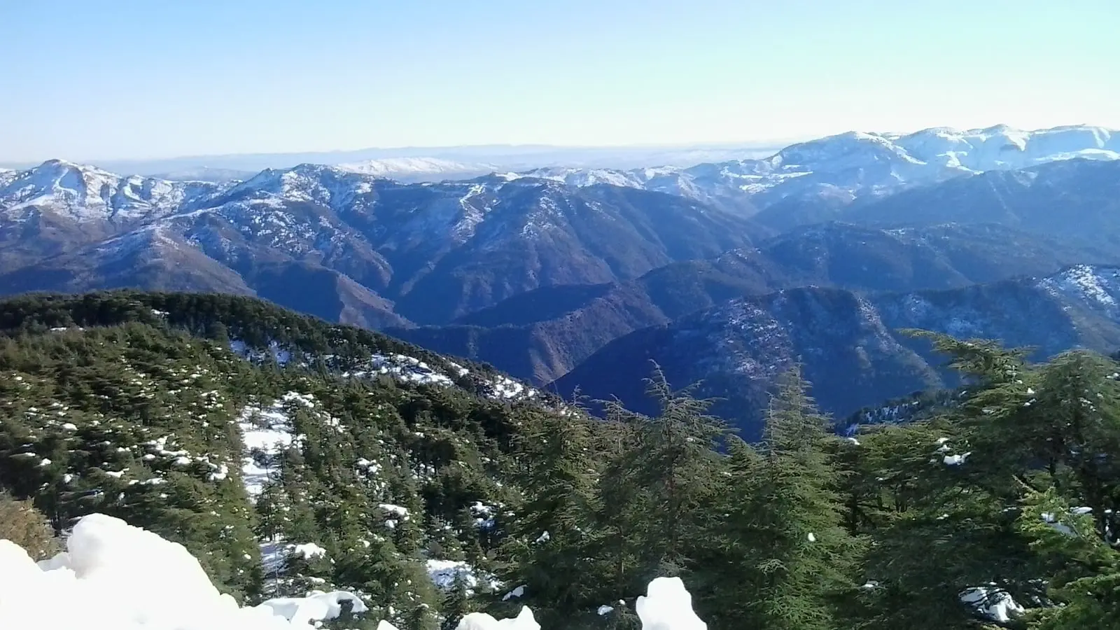 Chréa, アルジェリアの山々