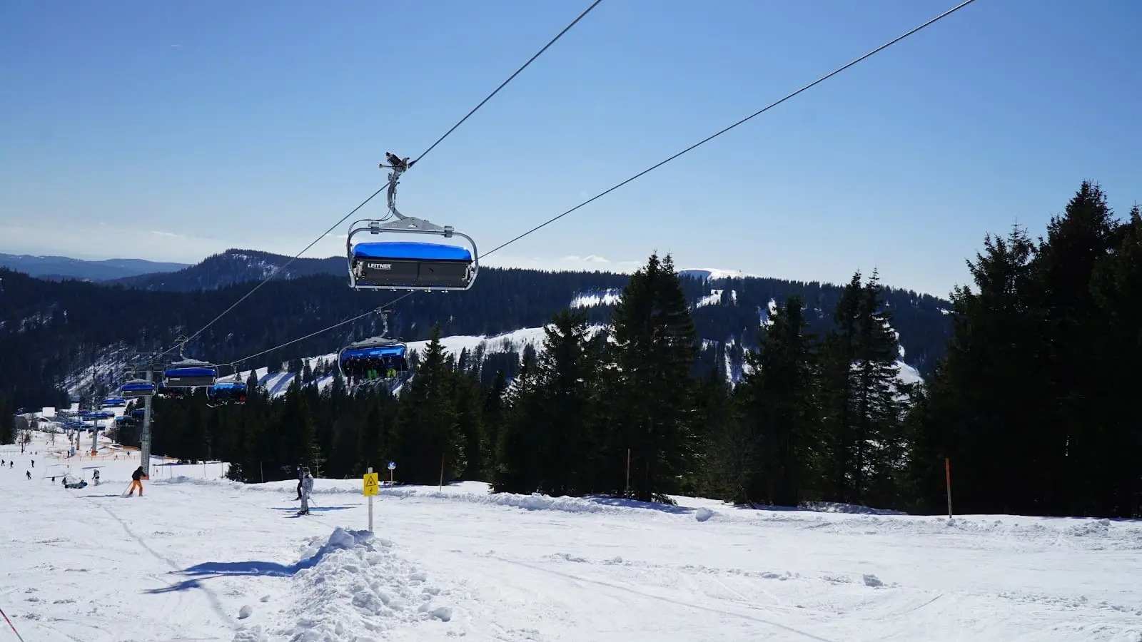 Feldberg, 黒い森