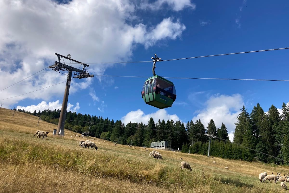 Feldberg, Zwarte Woud
