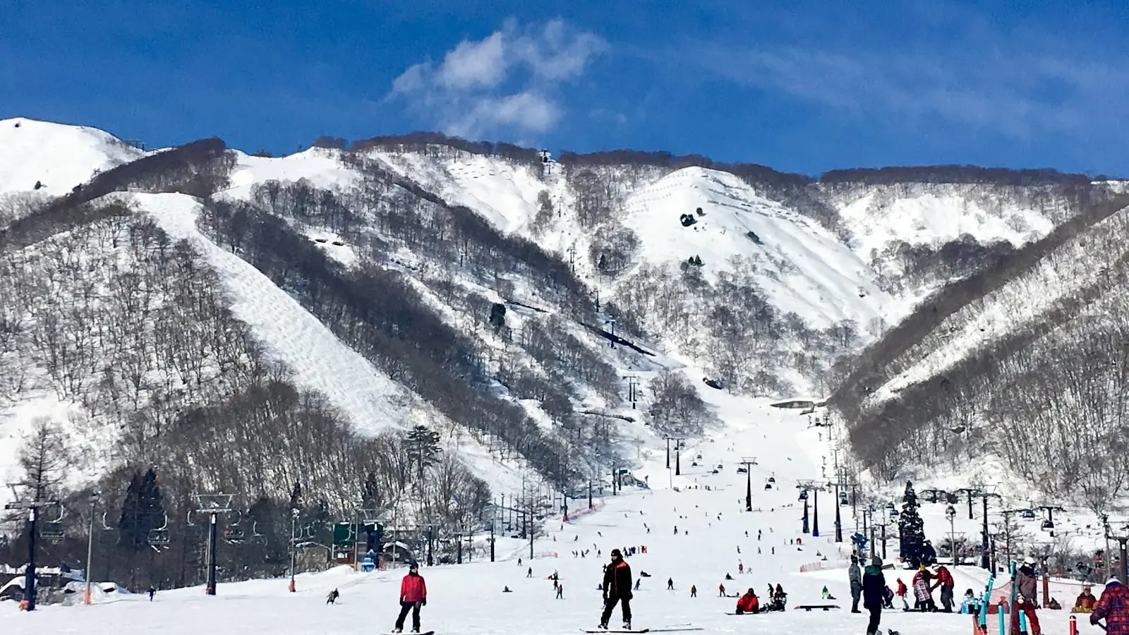 Hakuba Goryu & 47, 日本アルプス