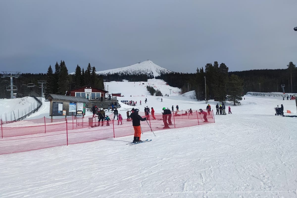 Lofsdalen, Montagne svedesi