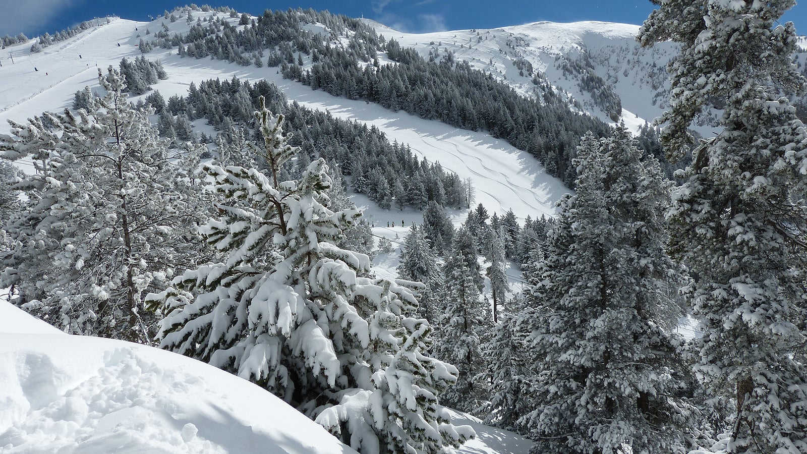 Masella, Pirenei spagnoli