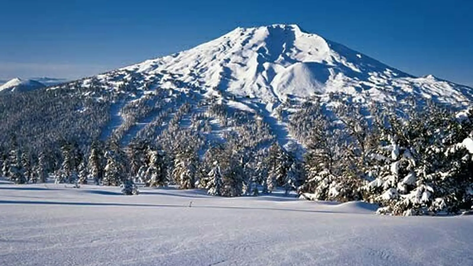 Mt Bachelor