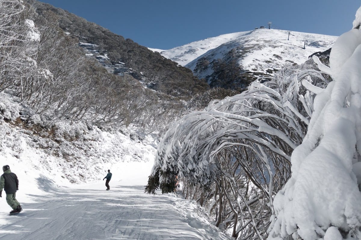 Mt Hotham, Alpes australianos