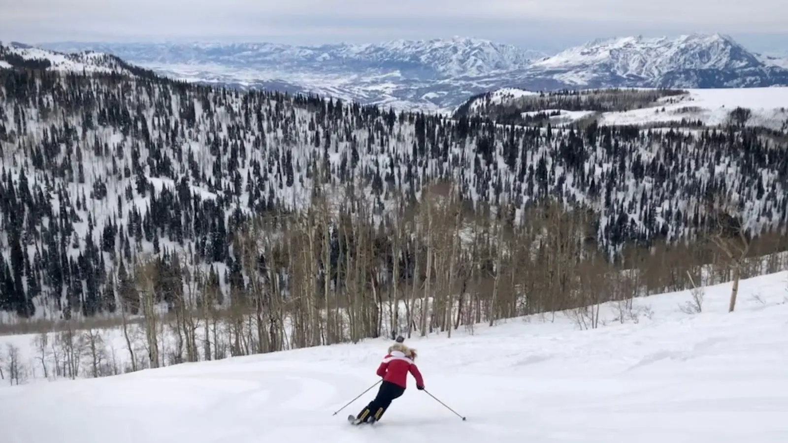 Park City
