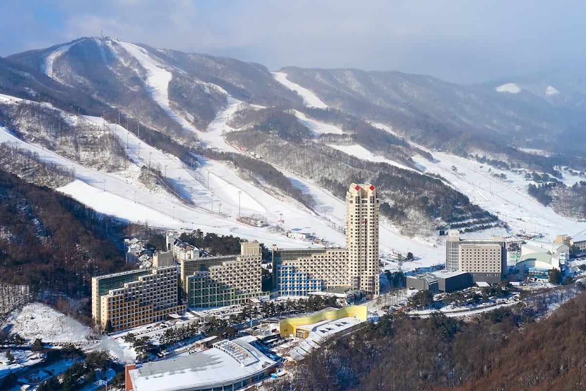 Phoenix Pyeongchang, Monti Taebaek