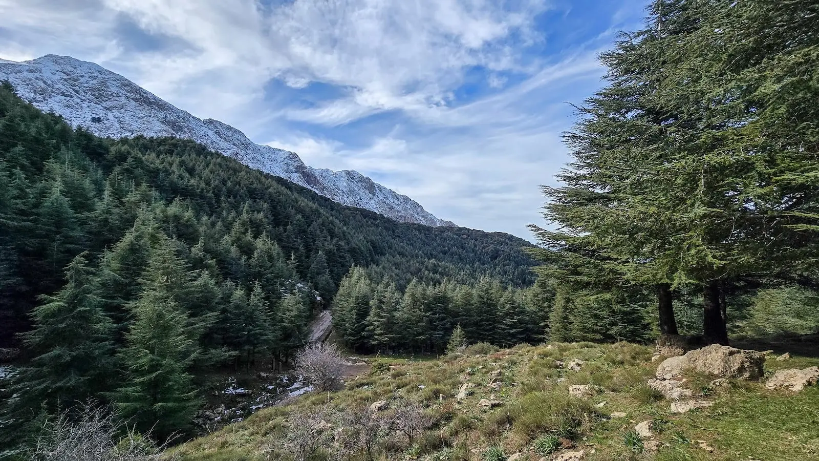 Tala-Guilef