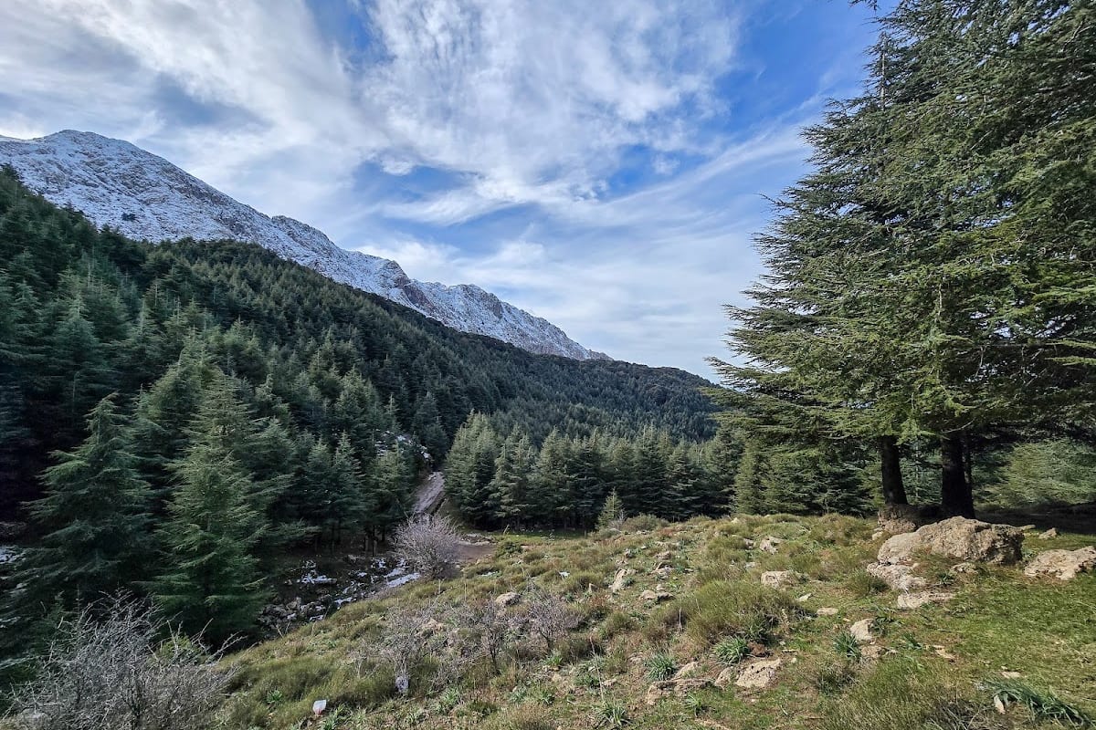 Tala-Guilef, Montagnes algériennes