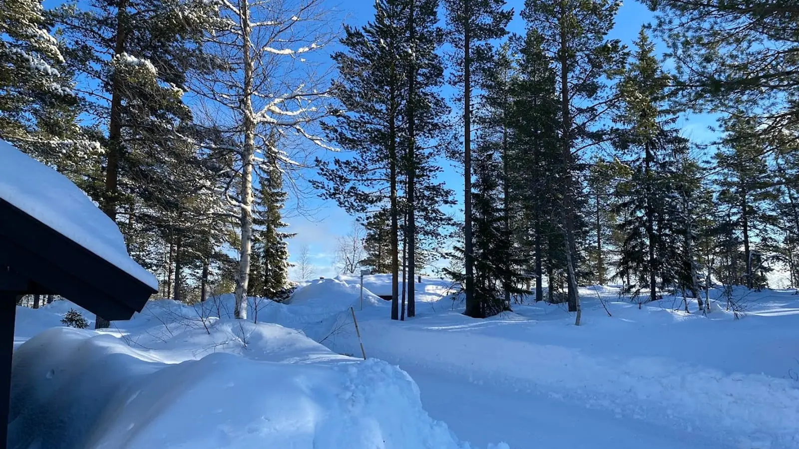 Trysil