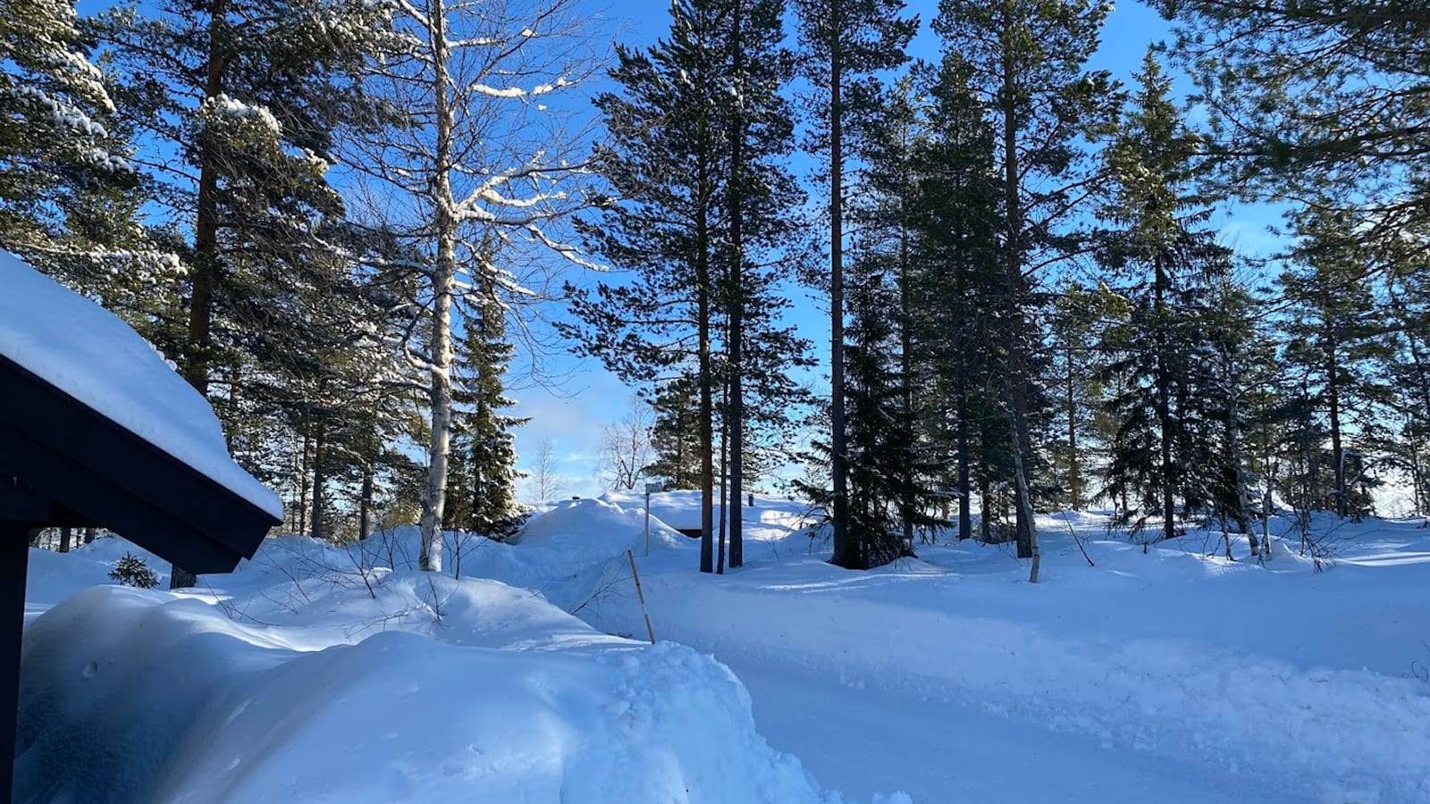 Trysil