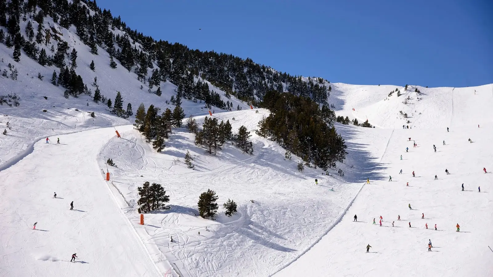 Vallter 2000