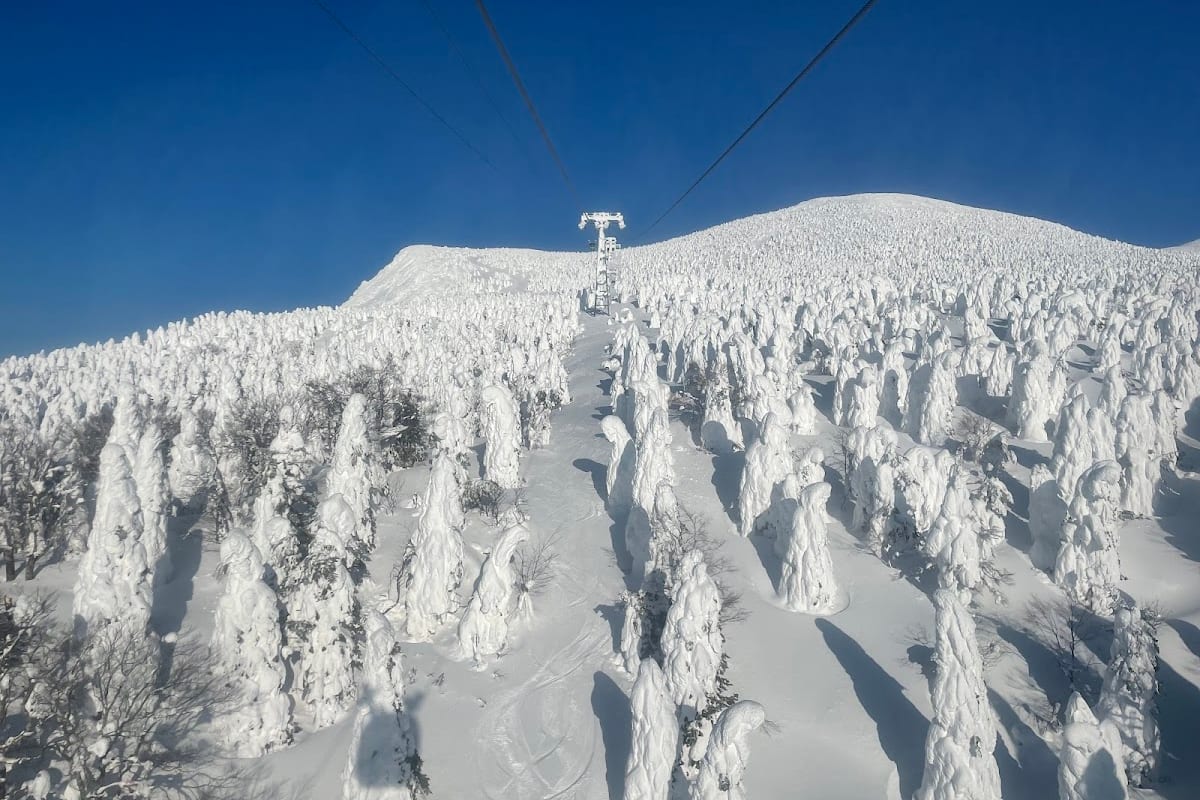 Zao Onsen, Monti del Tōhoku