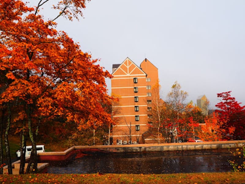 Appi Kougen Onsen Hotel