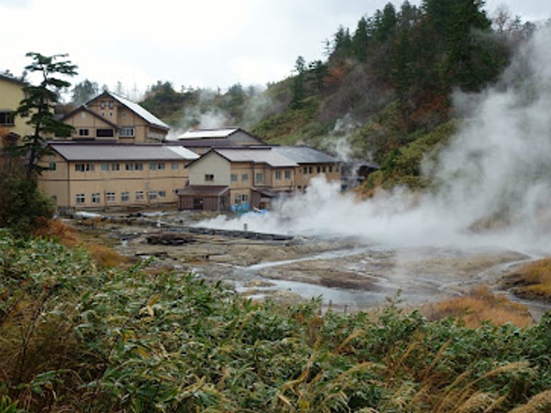 Goshogake Hot Spring Hotel