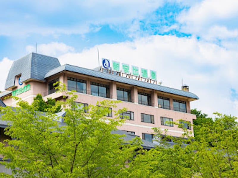 Shin-Appi Onsen Seiryukaku