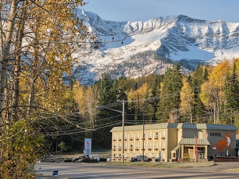 Fernie Fox Hotel