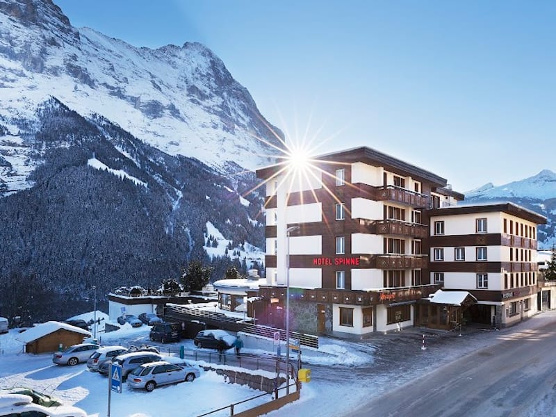Hotel Spinne