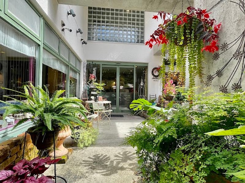 Hotel Moegi