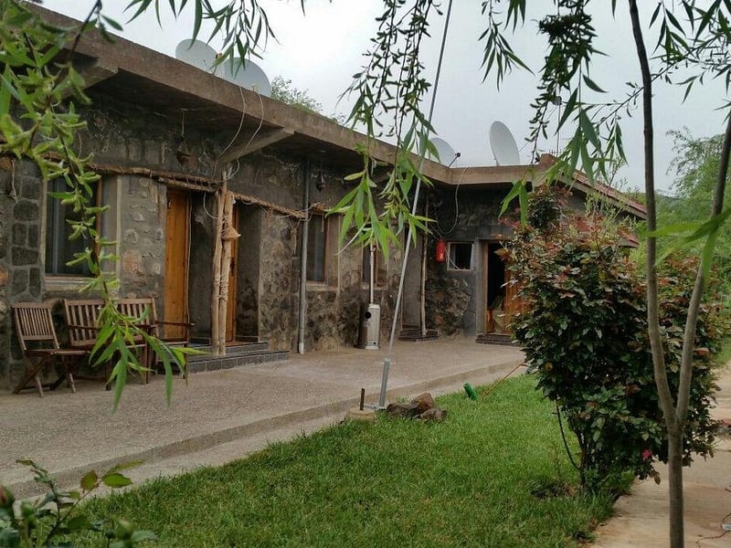 Tamanoucht