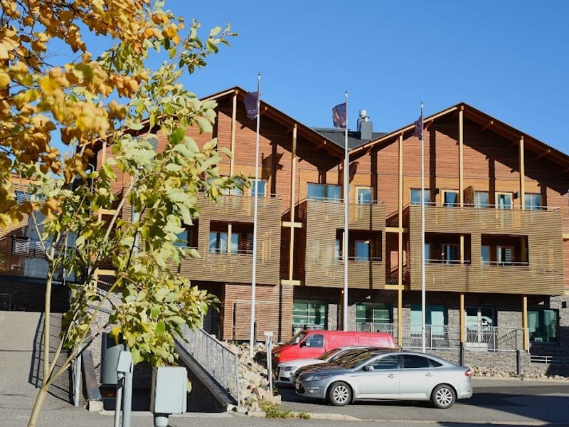 Levi Suites Levi Gold