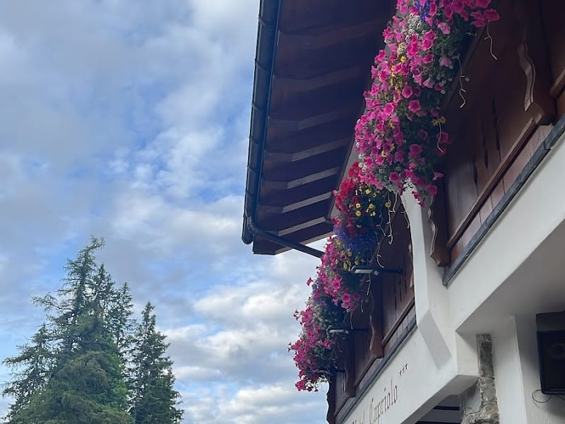 Hotel Capriolo