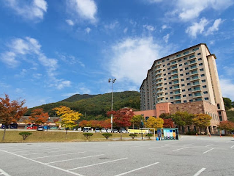 캐나다SAM(쌤) 오크밸리점