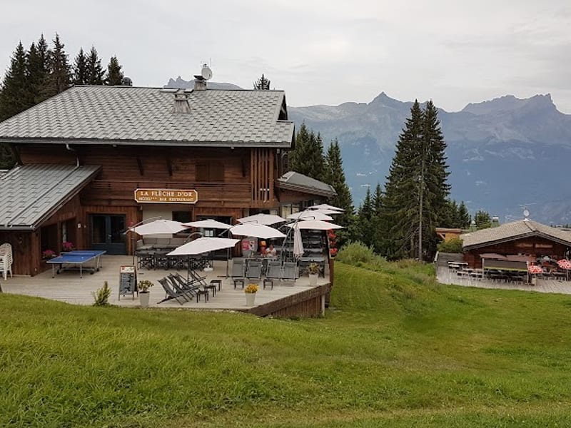 Hotel La Flèche d' Or